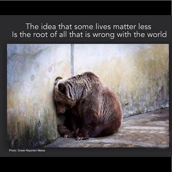 Meet your Posher, Sanddra - Picture 15 of 16